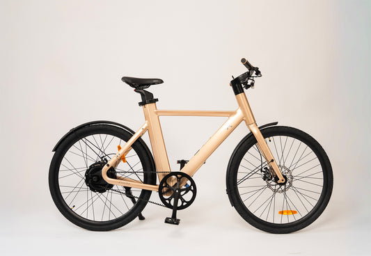 Motto - Sand Edition